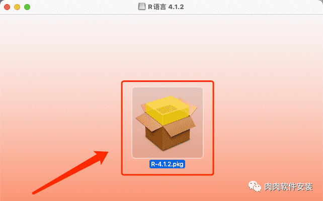 【Mac软件】R语言 4.1.2软件安装包和安装教程